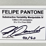 最終値下げfelipe PANTONE VARIABILITY 別倉庫からの配送 - vidaclube