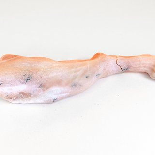 First Leg art for sale