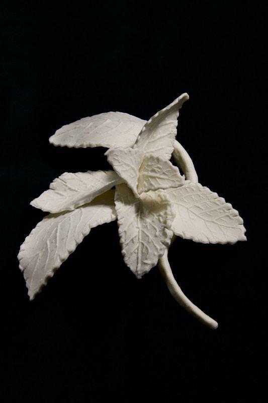 exhibition - Menthe
