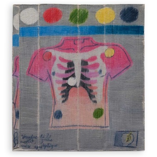 Francisco G Pinzón Samper, Untitled