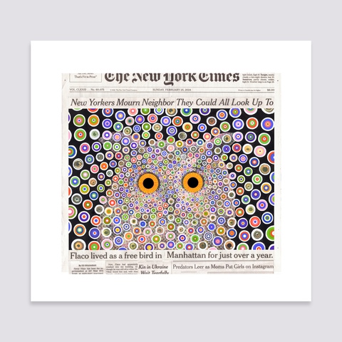 Fred Tomaselli - Flaco, February 25, 2024