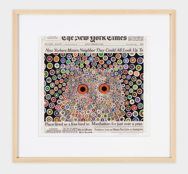 view:87162 - Fred Tomaselli, Flaco, February 25, 2024 - Framed in the Artist's Specifications. Image courtesy of James Cohan