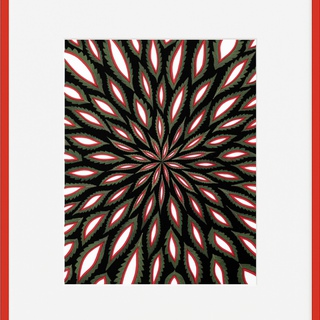 Fred Tomaselli, Scanner