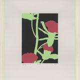 ゲイリー・ヒューム 作品集「Gary Hume」British Council ゲイリー・ヒューム 作品集「Gary Hume」British Council