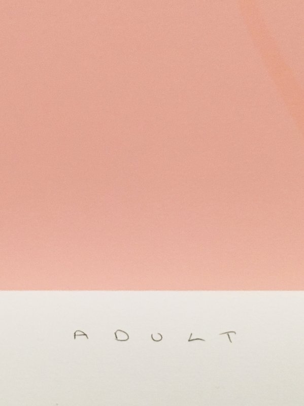 view:32376 - Gary Hume, Adult - 