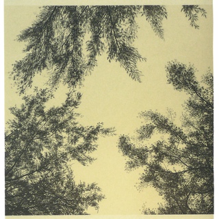 Georgia Marsh, Kant's Canopy I, II, III, IV