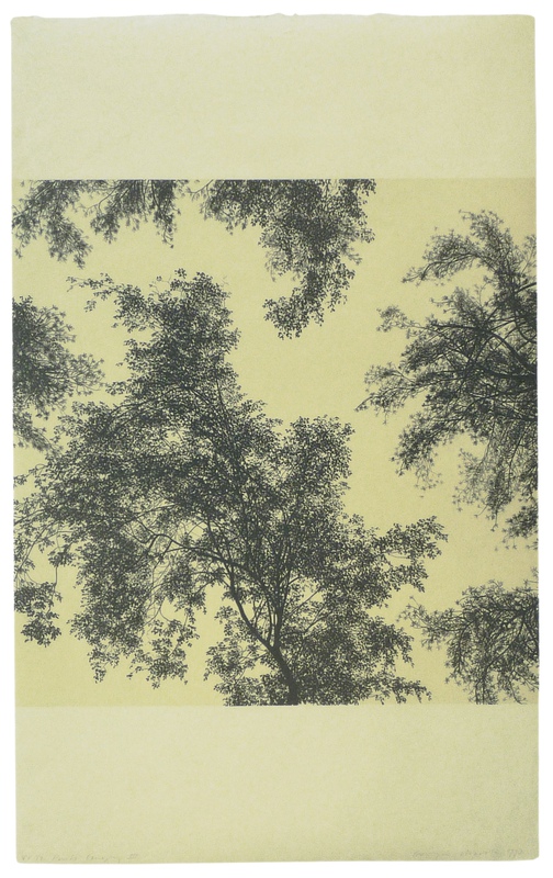 view:82253 - Georgia Marsh, Kant's Canopy I, II, III, IV - 