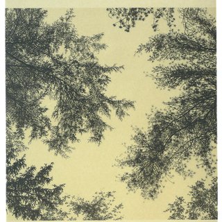 Georgia Marsh, Kant's Canopy II