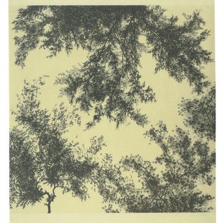 Georgia Marsh, Kant's Canopy IV