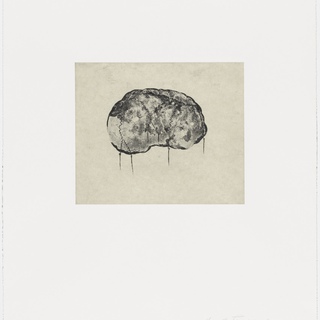 Giuseppe Penone, Brain II