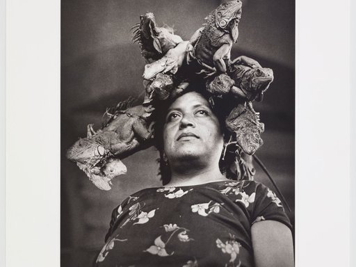 Thematic Women Artists with Shows Now