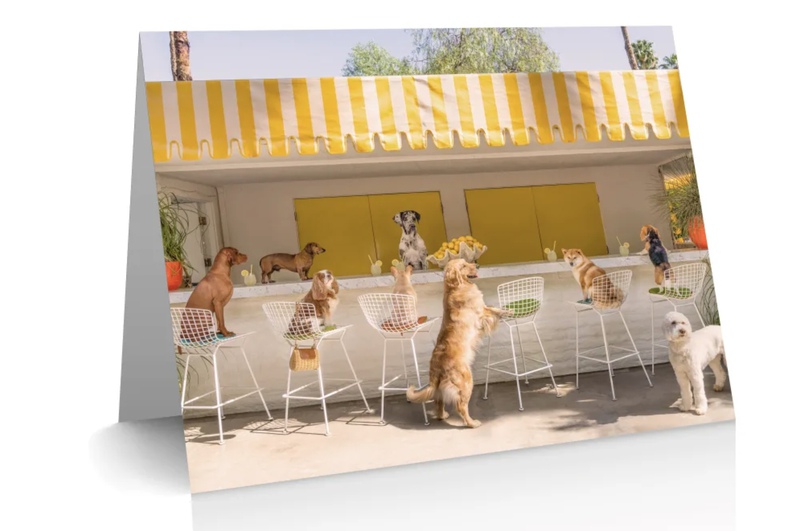 view:70371 - Gray Malin, The Dogs Notecard Set Case Pack - 