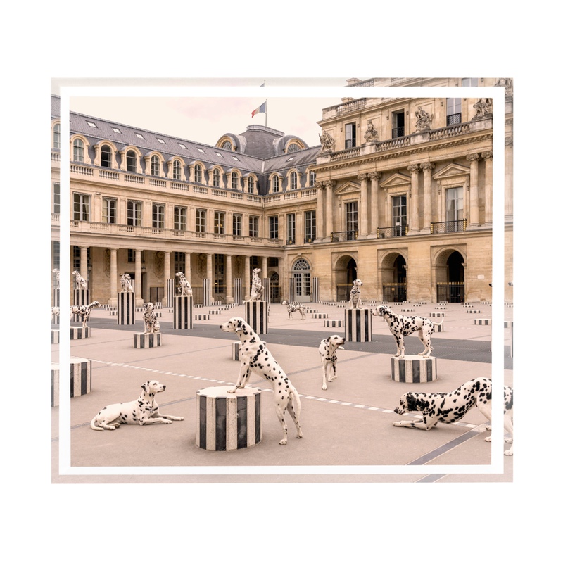 view:89287 - Gray Malin, The Parisian Dogs Decorative Tray - 