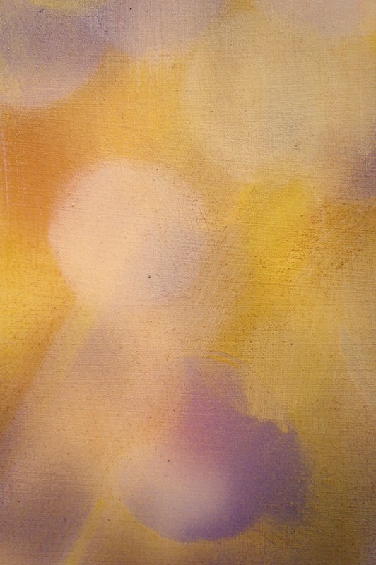 view:29466 - Heather Hartman, Burst VI - 