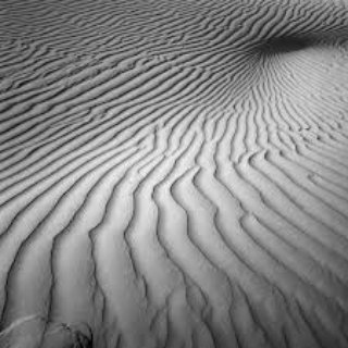 Dune 1 art for sale