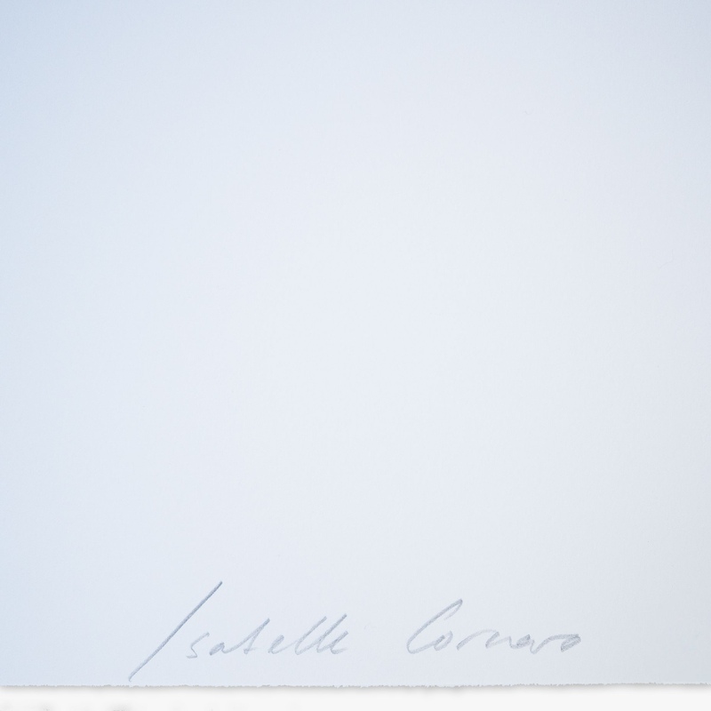 view:86678 - Isabelle Cornaro, REPRODUCTIONS “CHOSES #1” (PINK) - 