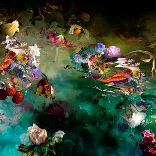 Isabelle Menin, Avant que le monde ne fut roi #1 - abstract floral landscape photography