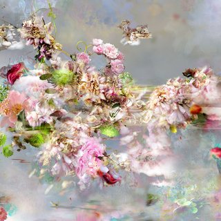 Isabelle Menin, Solstice #5 - Abstract floral landscape color photography