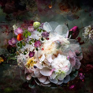 Isabelle Menin, Solstice #11- abstract floral landscape photography