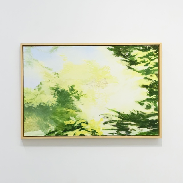 Janet Jacobs - Canopy, Light And Distance, Painting