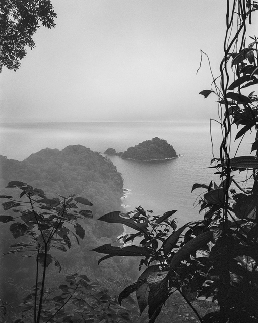 Miguel Winograd - Bosque Húmedo Tropical III Nuqui., Photograph