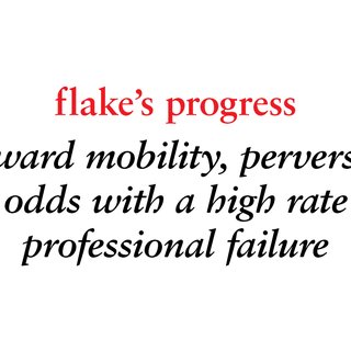 Jeff Gibson, flake's progress