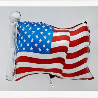 Jeff Koons, Flag