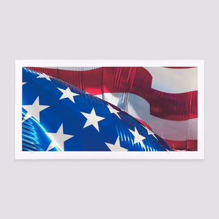 Jeff Koons, Flag II