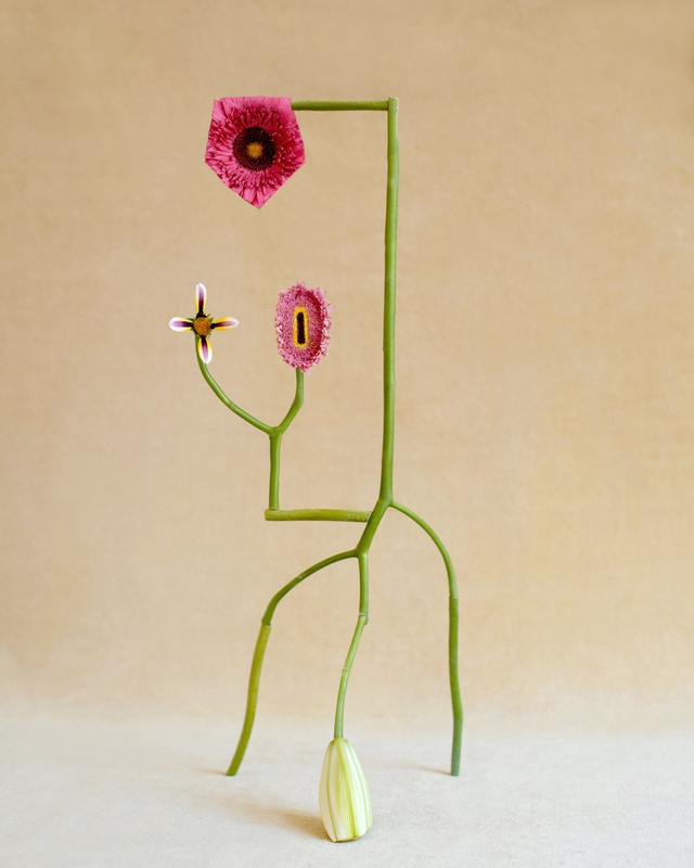exhibition - Shapeshifter no.1