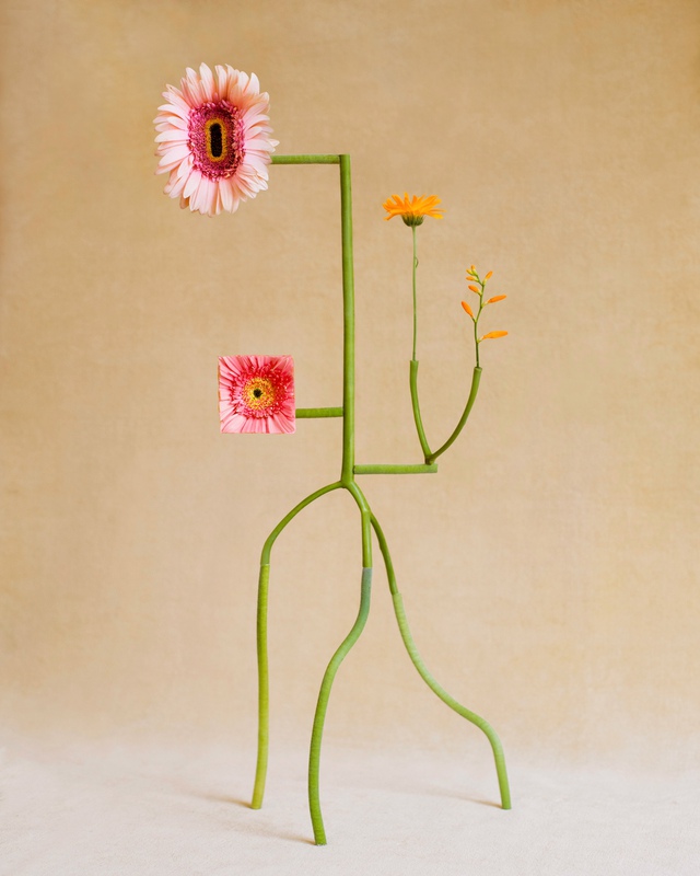 exhibition - Shapeshifter no.5