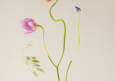 Jennifer Latour: Wild Flower no.22, Cypress Mountain, 2023 - Open Doors  Gallery