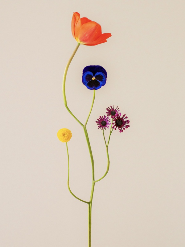 exhibition - Bound Species #24