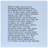 Jenny Holzer, Inflammatory Essay - Peasants - 