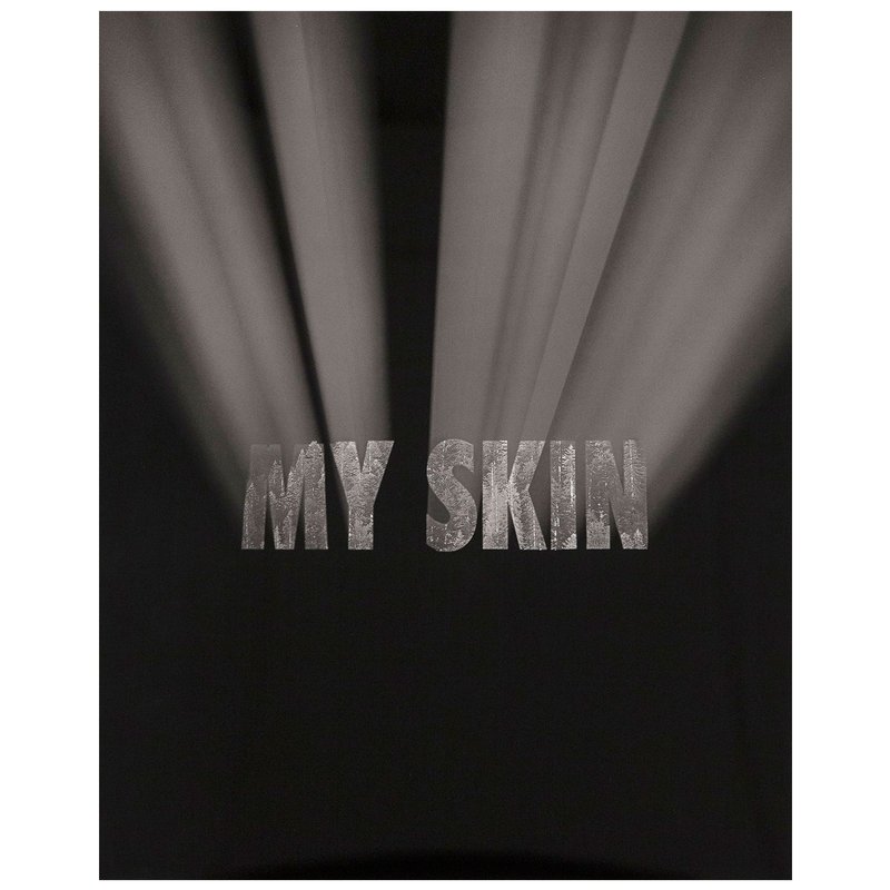 view:30382 - Jenny Holzer, Truth before Power - 