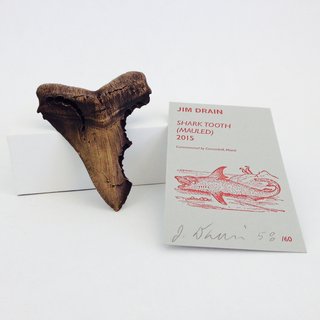 Shark Tooth (Mauled) art for sale