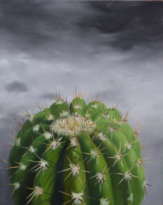 Cactus