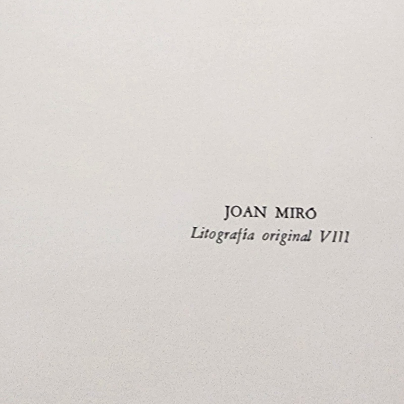 view:87034 - Joan Miró, Litografia Original VIII - 