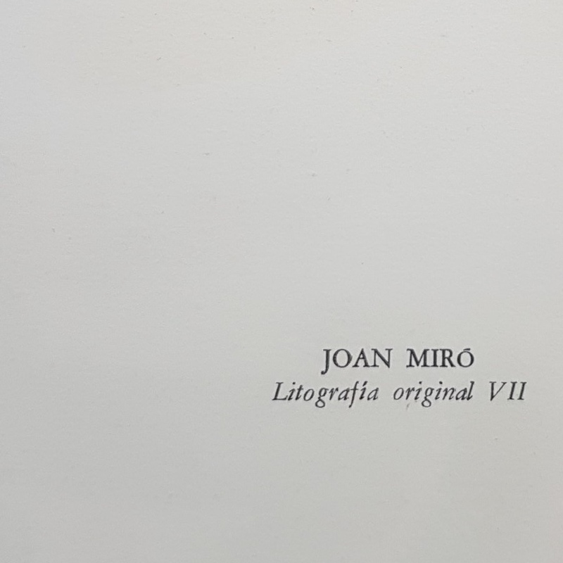 view:45375 - Joan Miró, Litografia Original VII - 