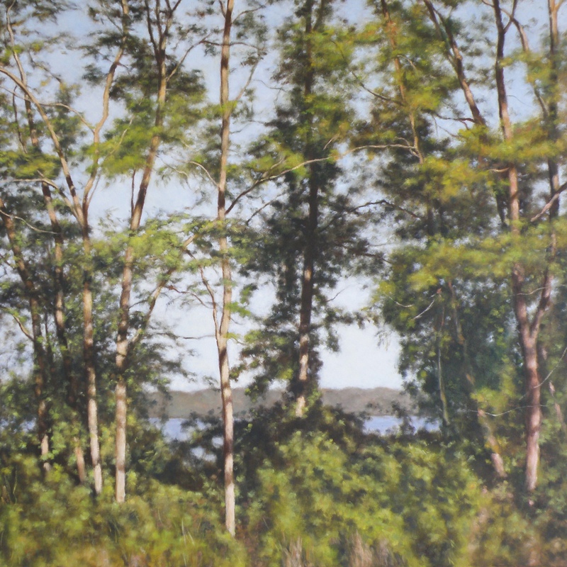 Lake View 4