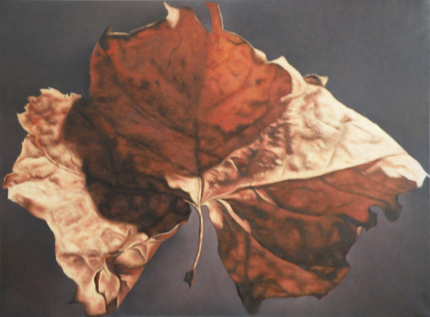 John Folchi - Leaf 1, Painting