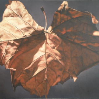 Leaf 2 art for sale