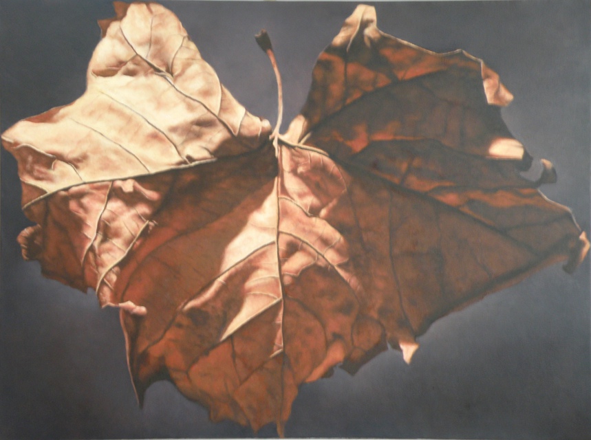 John Folchi - Leaf 2, Painting