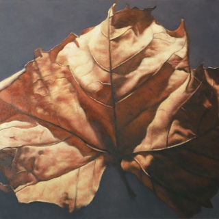 Leaf 3 art for sale
