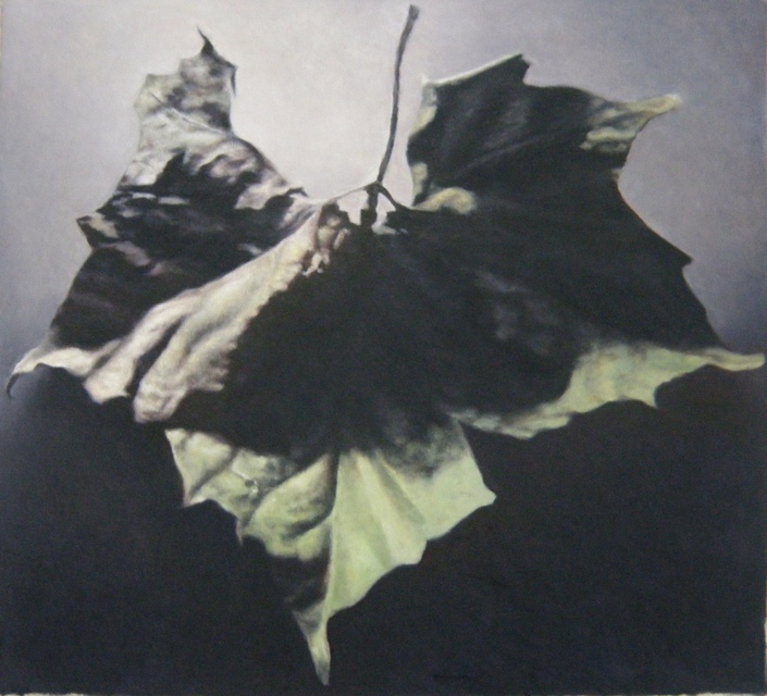 John Folchi - Leaf 4, Painting