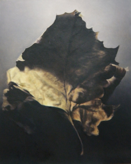 John Folchi - Leaf 5, Painting