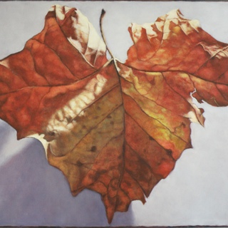 Leaf 6 art for sale