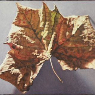 Leaf 8 art for sale