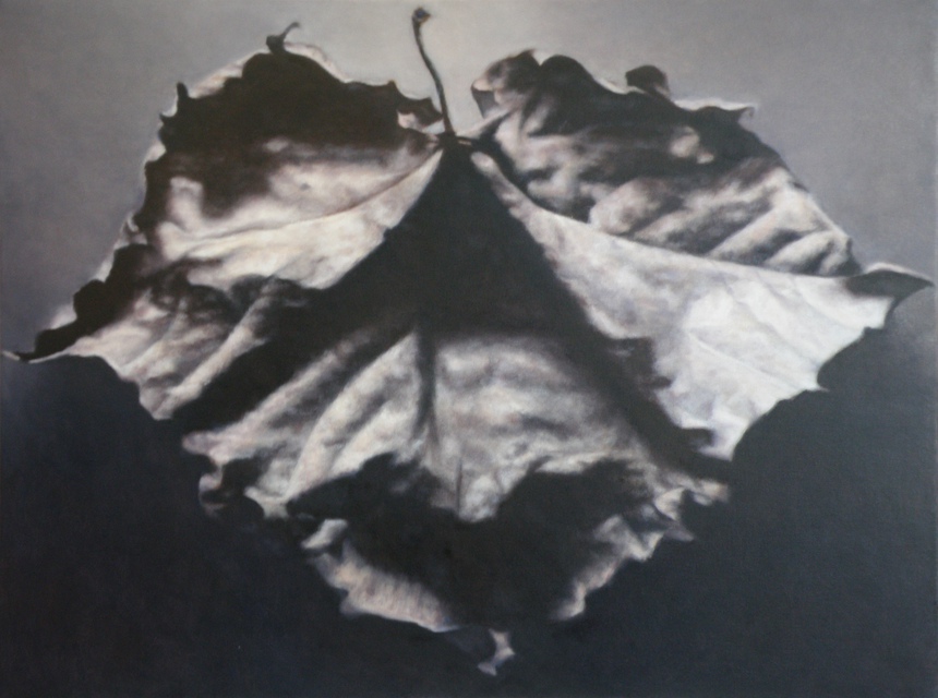 John Folchi - Leaf 9, Painting