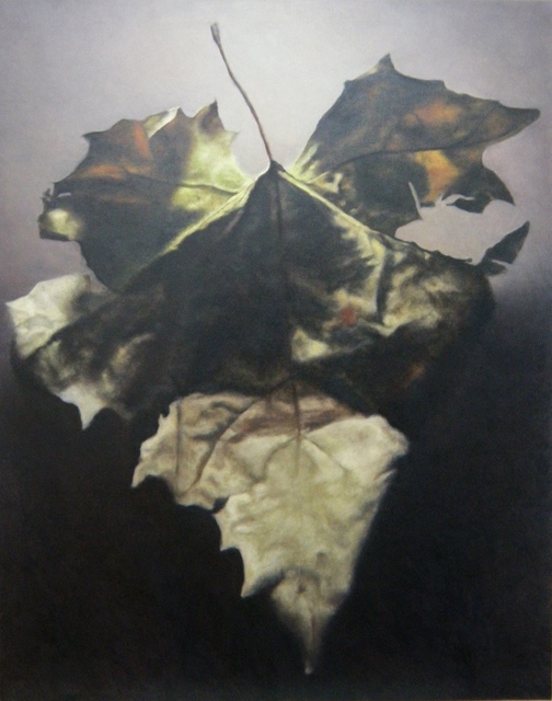 John Folchi - Leaf 10, Painting