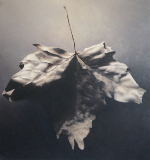 John Folchi - Leaf 11, Painting